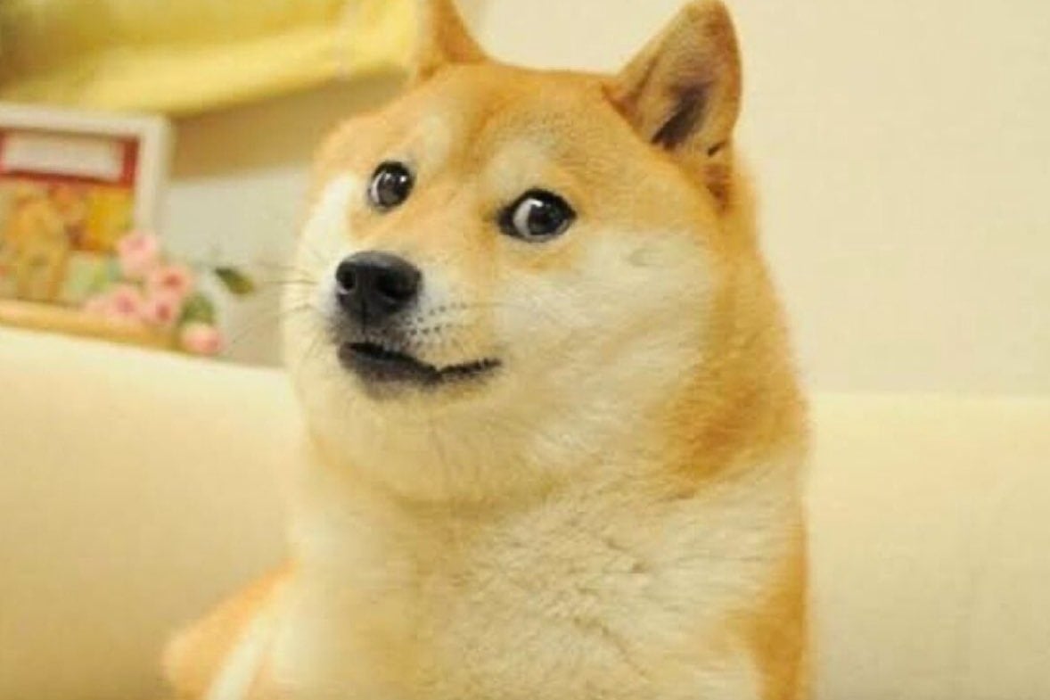 Popular dog Kabosu, who inspired cryptocurrency Dogecoin & Shiba Inu, dies