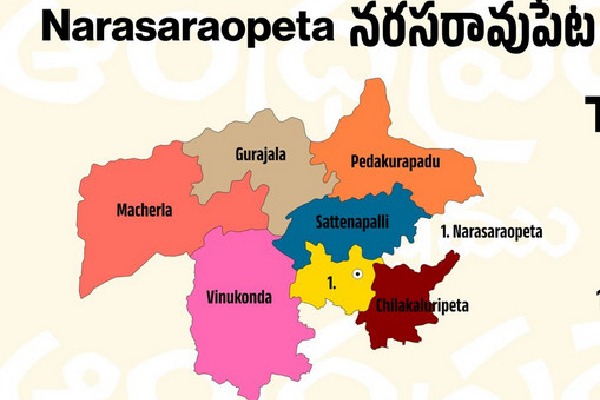 AP CEO reveals Narasaraopet Lok Sabha constituency poll data