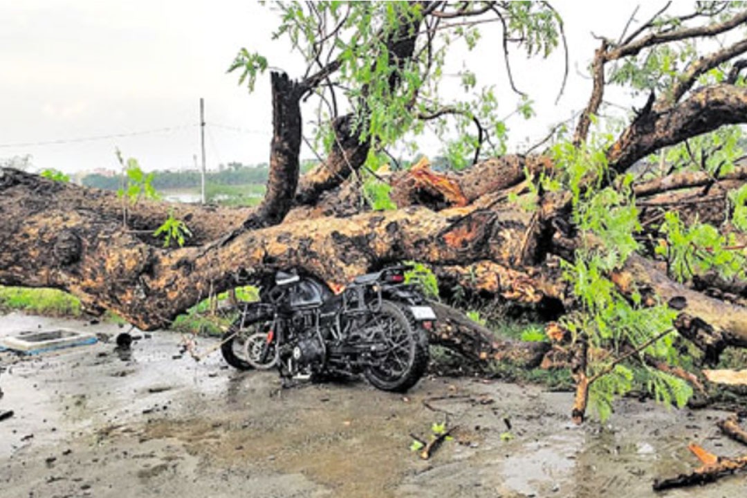13 people dead in Telangana as windstorm hits