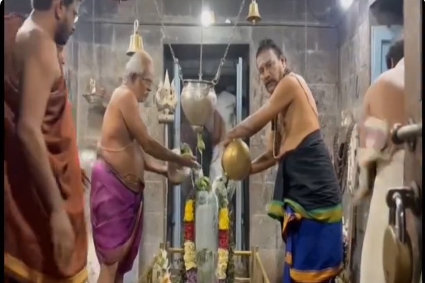 Chemical protection for idols in Draksharamam and Samarlakota temples