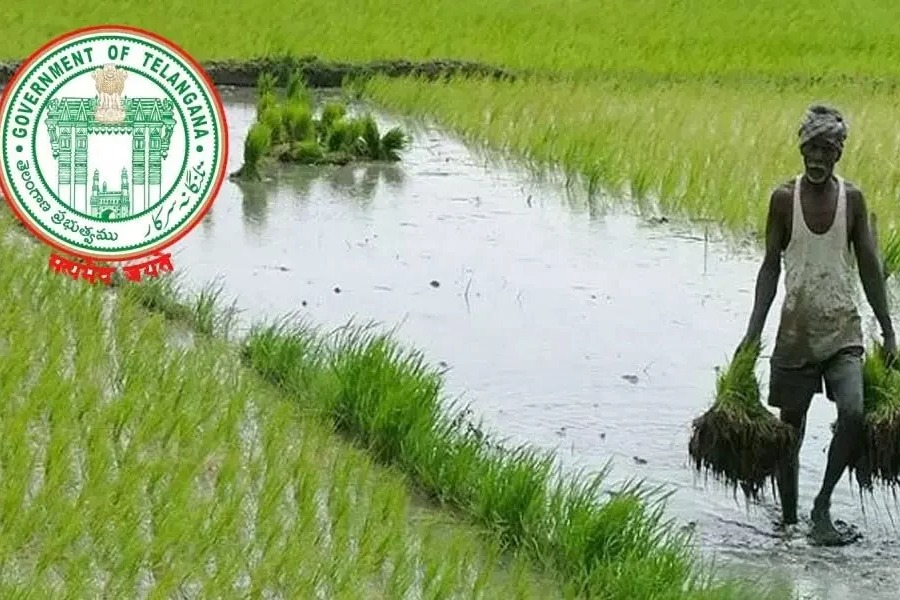 New Proposal From Agriculture Officers To loan waiver In Telangana