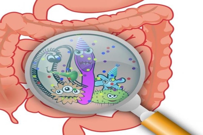 Blame a gut bacteria for your compulsive eating, obesity