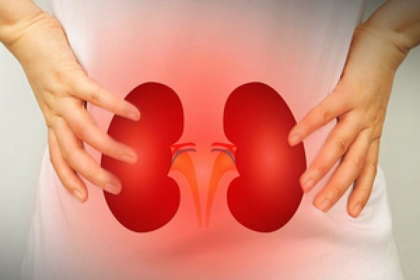 Low salt, less body fluids may help regenerate certain kidney cells: Study