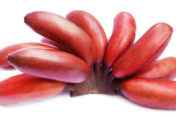 Benefits of Red Bananas