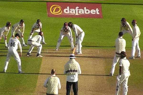 11 Players in One Frame This Happened In Somerset vs Surrey Match Video goes Viral