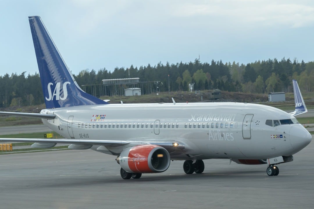 a passenger discovered a live mouse in their in flight meal and plane make an emergency landing