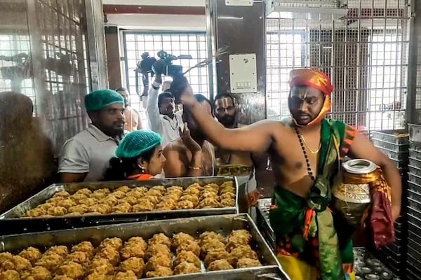 Amid Animal Fat Row 14 Lakh Tirupati Laddoos Sold In 4 Days