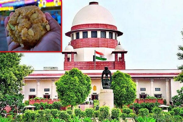 Supreme Court Key Decision on Tirumala Lauddu Adulteration Issue 