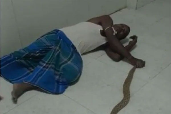 Bitten By Snake Man Walks Into Bihar Hospital With Reptile In Hand