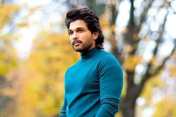 Allu Arjun gets relief in AP High Court