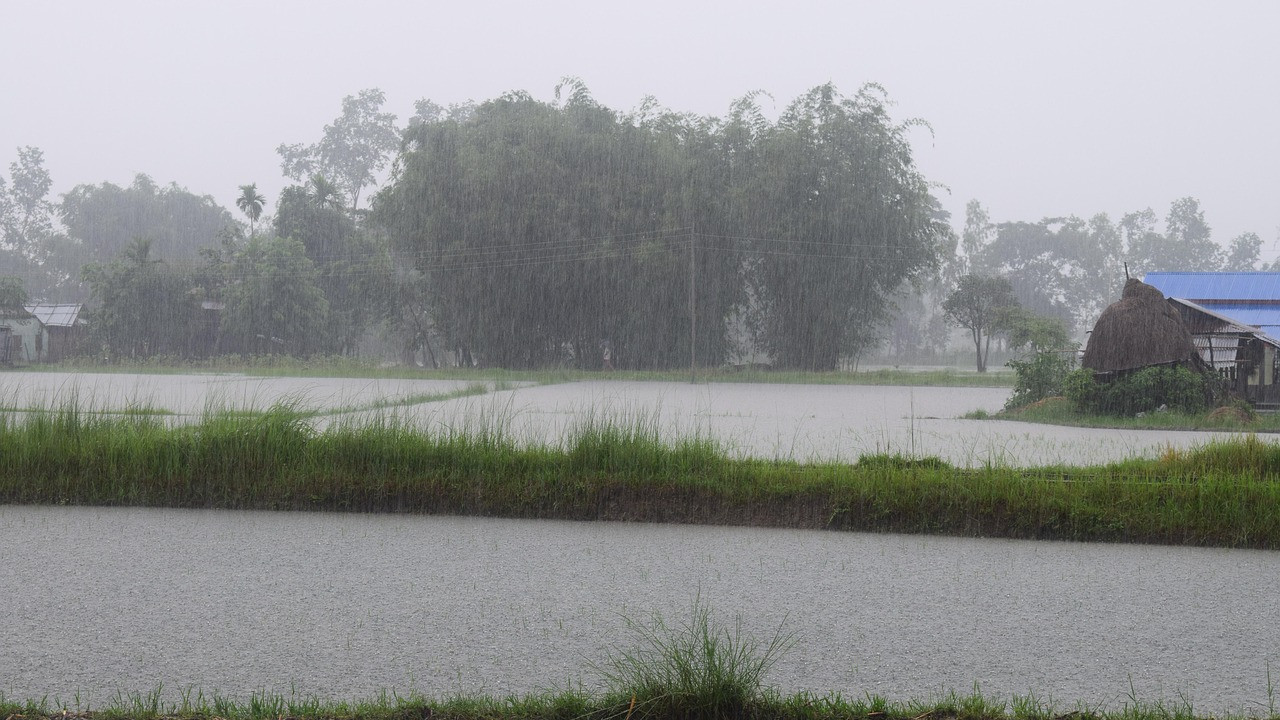 Southwest Monsoon Arrives in Andhra Pradesh Rainfall Estimates Revealed
