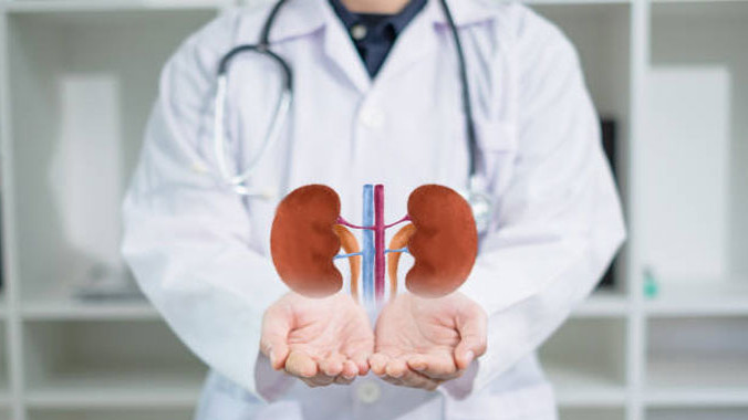 Kidney health is in our hands these habits keep them safe for a long time