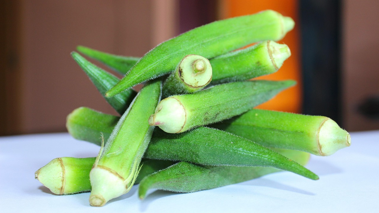 Indian man shocked by the price of Bhindi in America