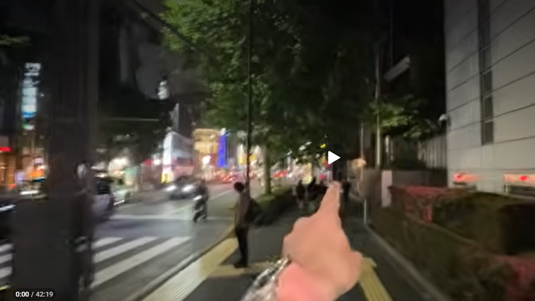 Japan police find and return lost wallet in minutes