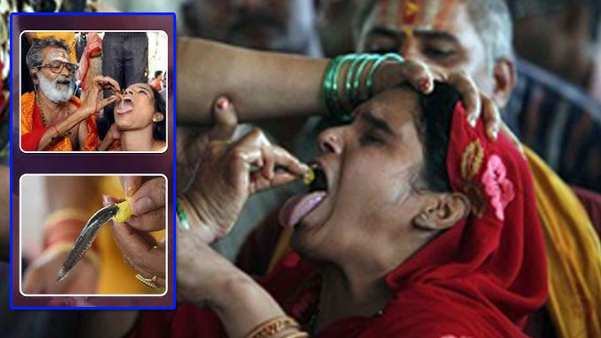 Bathini Fish Prasadam 176 years of trust and hope for asthma patients