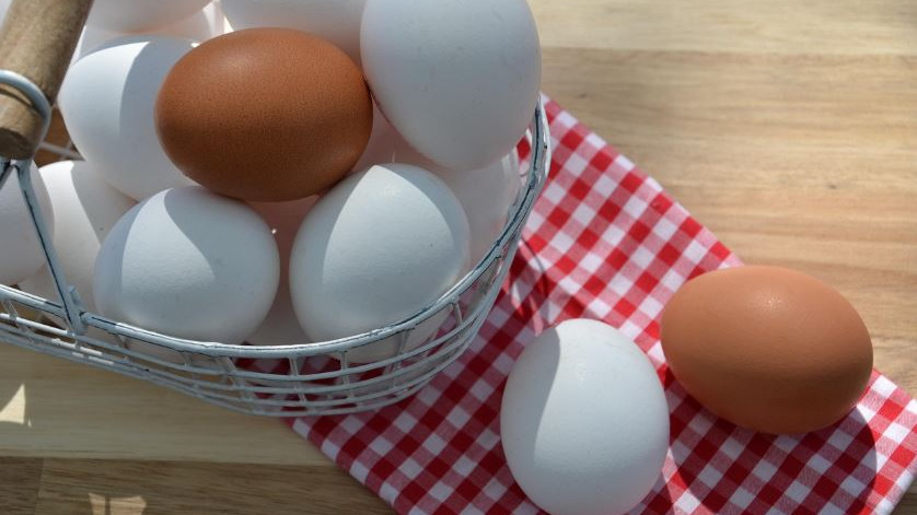White vs Brown Which eggs are best in terms of nutrients