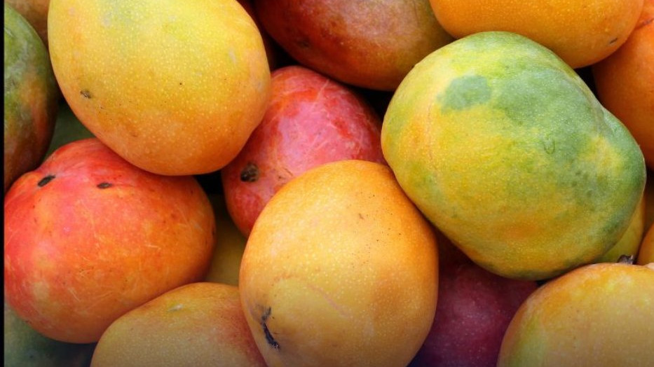 Indian Mangoes Face Import Ban In Nepal After Japan