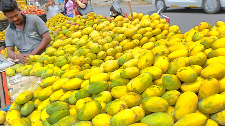 Indian Mangoes no ban on imports Nepal and Indian officials clarify