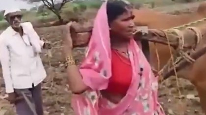 Hausabai Gaikwad plows field instead of ox Maharashtra government responds