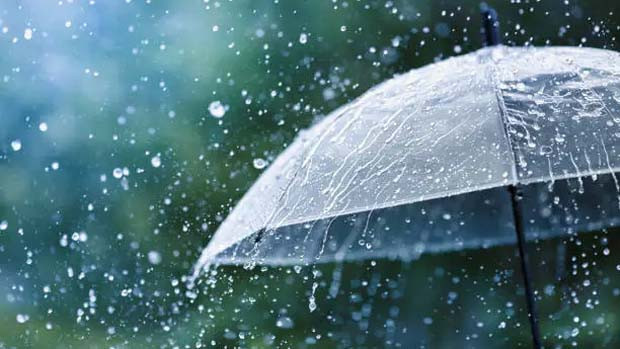 Andhra Pradesh Rains Expected Today Due to Trough Effect