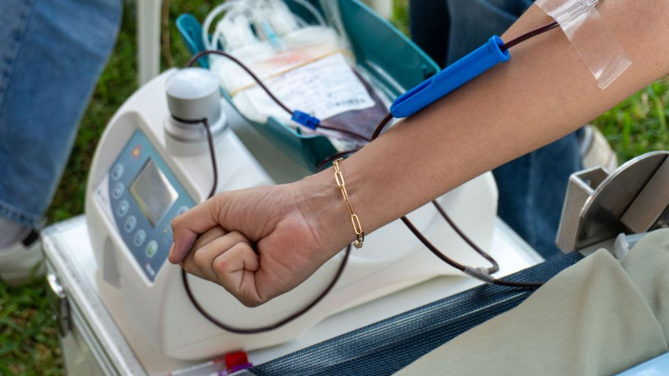 Is blood donation good for health what doctors say