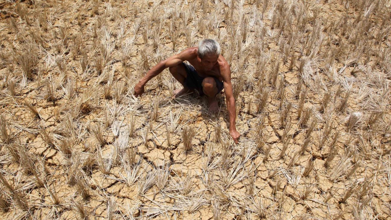 El Nino Entry To Intensify In Coming Months