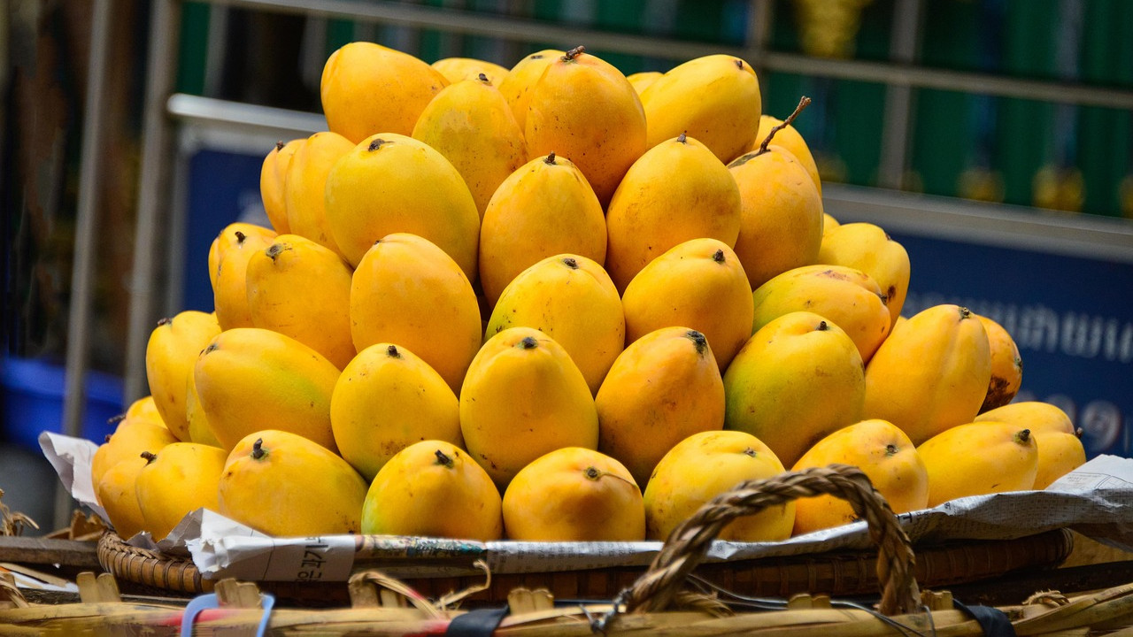 Fear of pesticides on mangoes Clean them like this