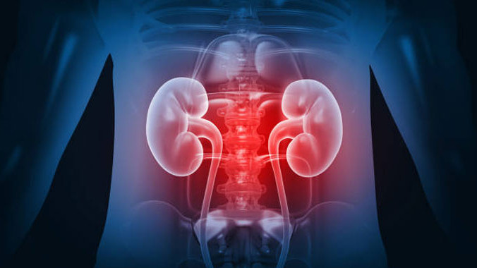 Telangana tops in kidney deaths shocking facts in ICMR report