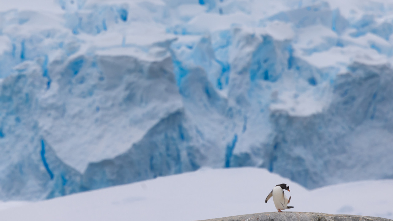 Antarctica ice sheet the size of France disappears
