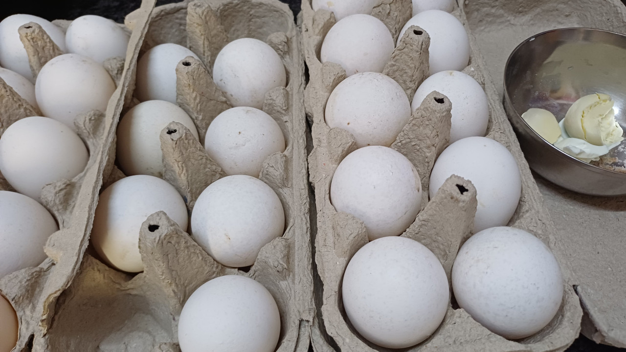 Eggs in Veg Canteen Controversy at Ahmedabad Engineering College