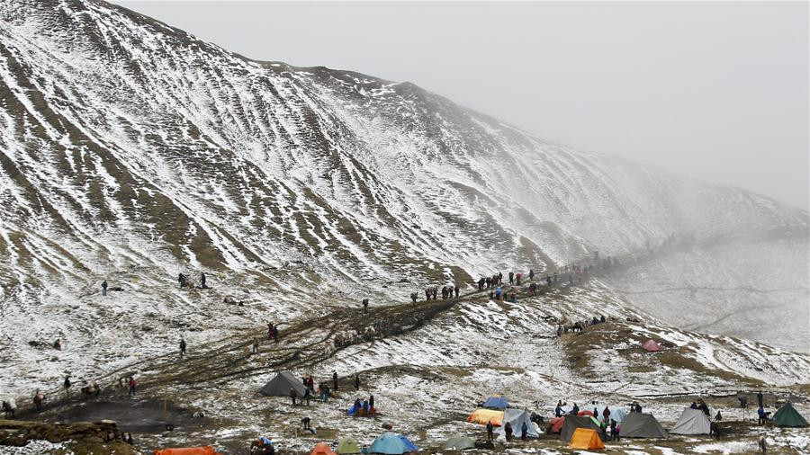 Yarsagumba the Himalayan Gold driving Nepalese crazy