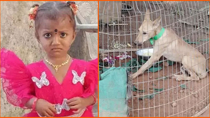 Jnaneswari missing mystery continues as CCTV footage of pet dog surfaces