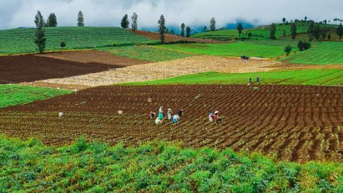 New research offers hope to farmers in reducing fertilizer costs