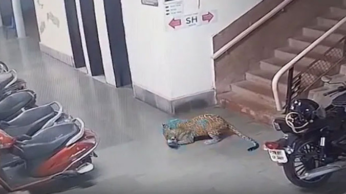 IIT Bombay shocking incident CCTV footage recorded students in fear