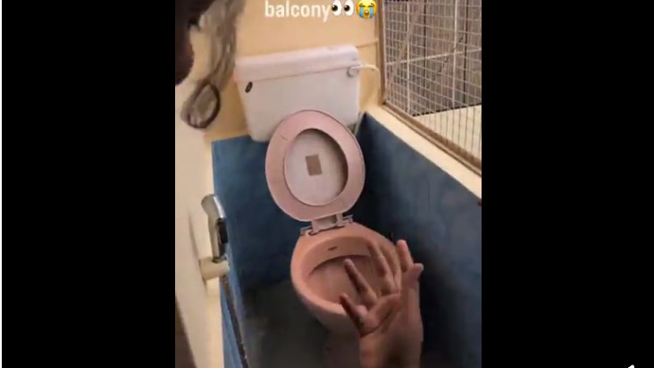 Bengaluru flat balcony toilet viral video netizens react