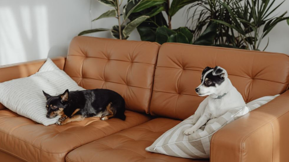 Jennifer Martinez earns 90000 per month through side hustles after office hours