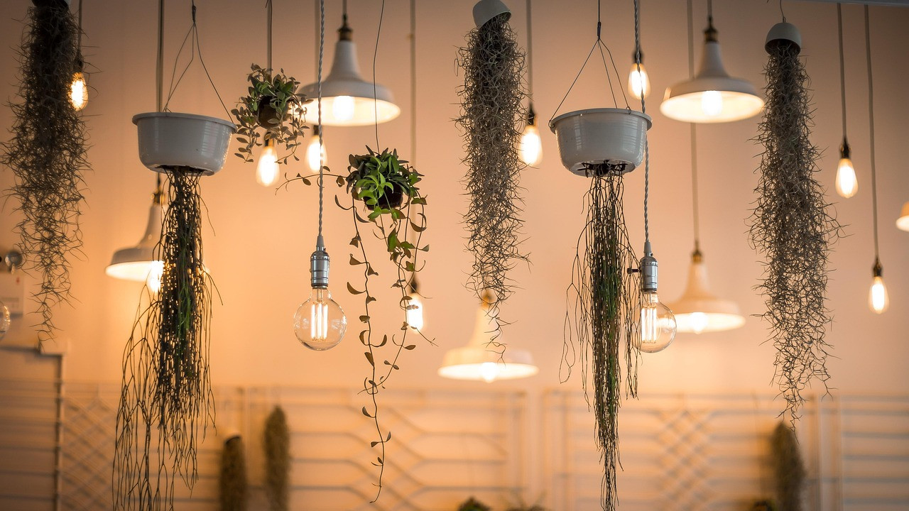Lighting Trends 2026 New Art for Your Home and Latest Decor Tips