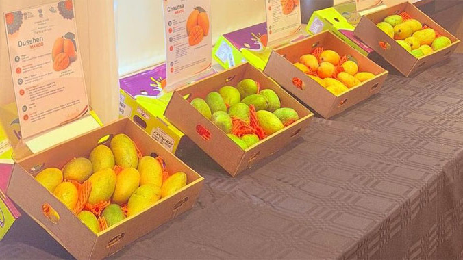 Indian Mangoes in Iceland First Ever Promotion Events Held