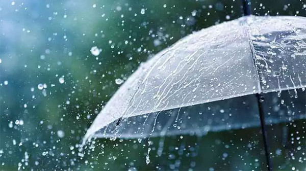 Telangana Weather Update Widespread Rains Expected For One Week