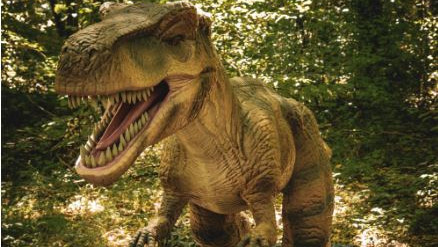 Dinosaurs history changed with one bone how the secret was revealed