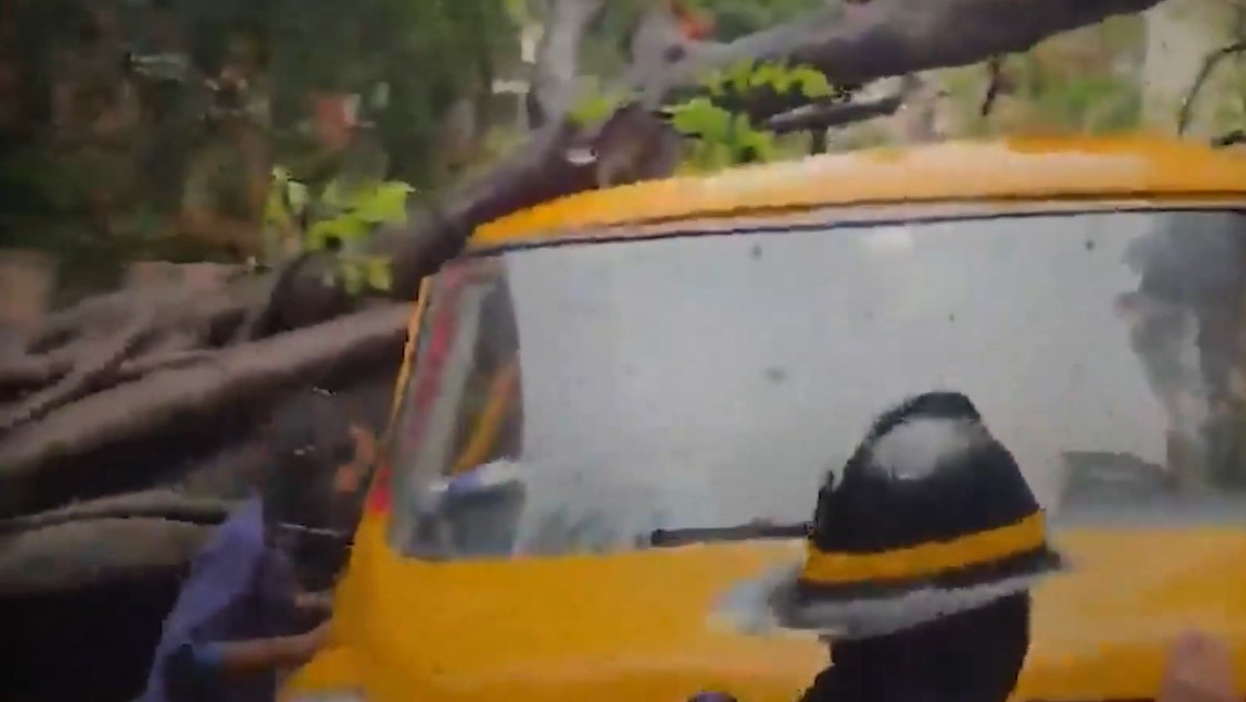 Vihaan Srivastava dies as tree falls in Mumbai and Minister controversial remarks