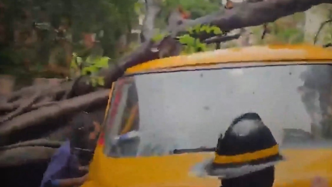 Vihaan Srivastava dies as tree falls on school bus funeral held with cricket ball