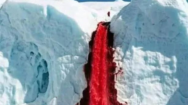 Antarctica Blood Falls the real story behind the red color