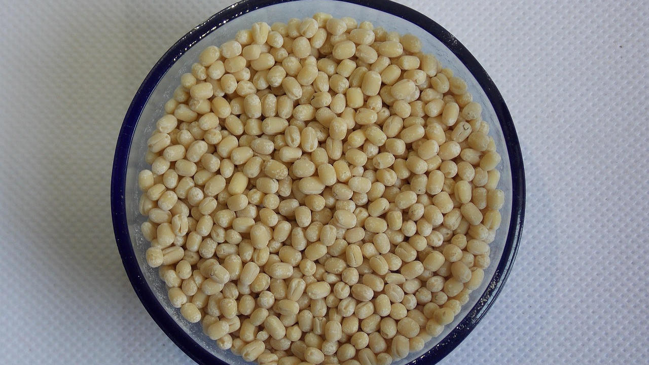 King of pulses this one provides the highest protein