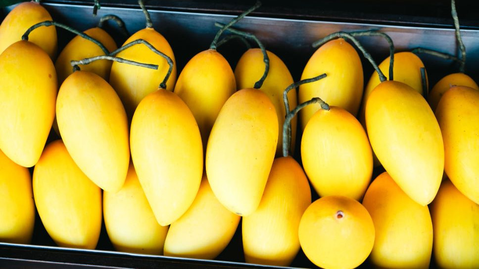 Shivraj Singh Chouhan forms expert committee for Totapuri mango price drop