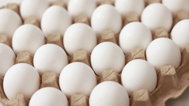 Egg prices skyrocket causing trouble for common man