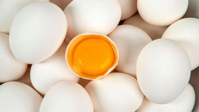 Egg vegetarian or non vegetarian what does science say