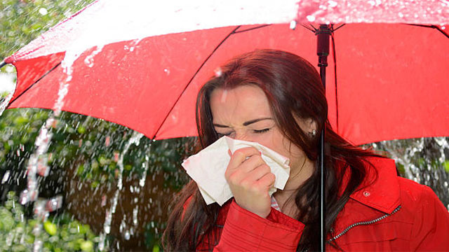 Monsoon Allergies Why sneezing and coughing increase during the rainy season