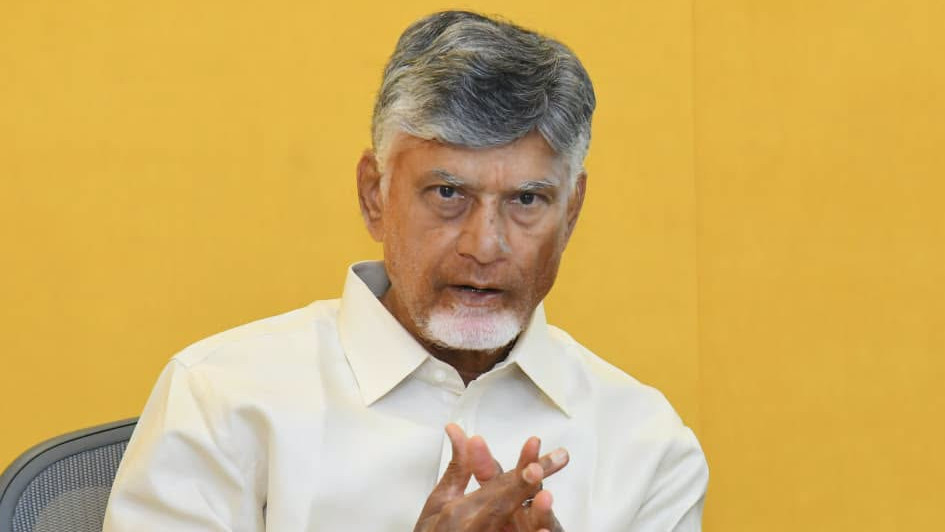 Chandrababu Naidu appoints TDP NRI National Committee here is the full list