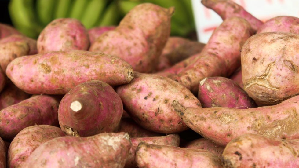 Sweet Potato Benefits For Gas And Digestive Health